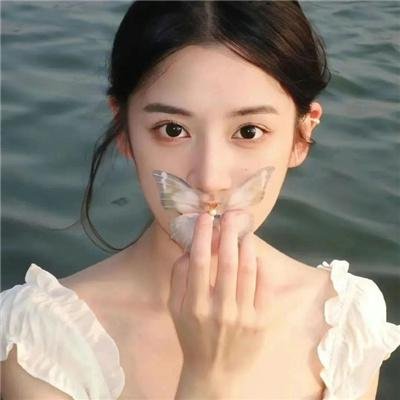 女神捕之迷局